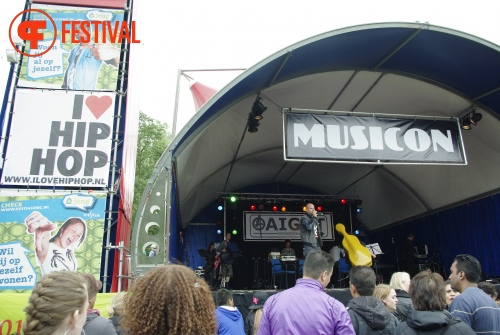 Sfeerfoto Parkpop 2012