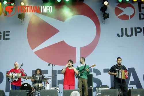 Sfeerfoto Parkpop 2012