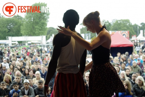 Sfeerfoto Parkpop 2012