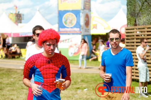 Sfeerfoto Solar Weekend 2012