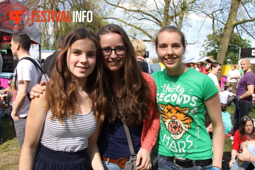 Sfeerfoto Bevrijdingsfestival Nijmegen 2013