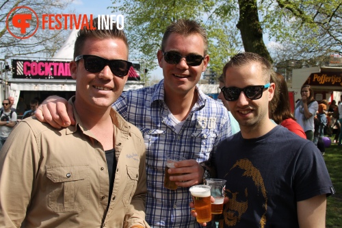Sfeerfoto Bevrijdingsfestival Nijmegen 2013