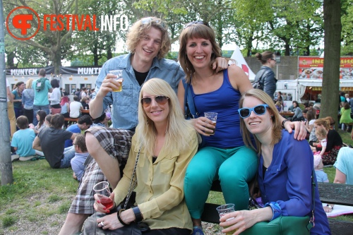 Sfeerfoto Bevrijdingsfestival Nijmegen 2013