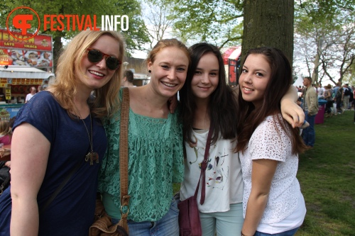 Sfeerfoto Bevrijdingsfestival Nijmegen 2013