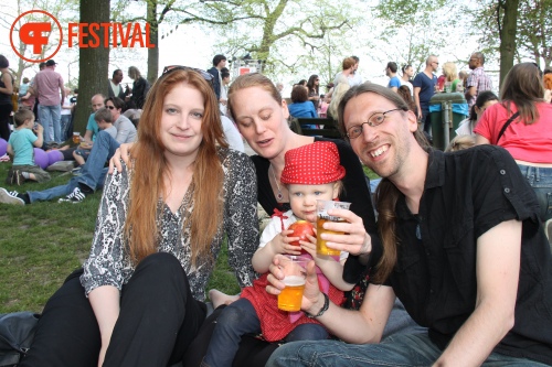 Sfeerfoto Bevrijdingsfestival Nijmegen 2013