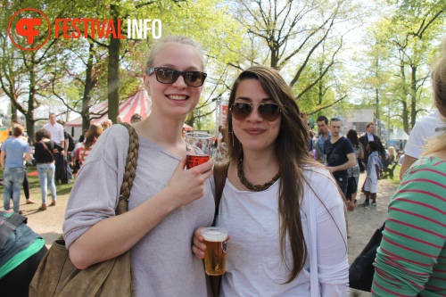 Sfeerfoto Bevrijdingsfestival Nijmegen 2013