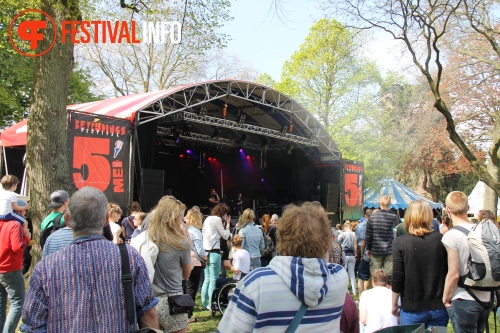 Sfeerfoto Bevrijdingsfestival Nijmegen 2013