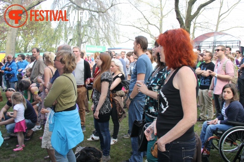 Sfeerfoto Bevrijdingsfestival Nijmegen 2013