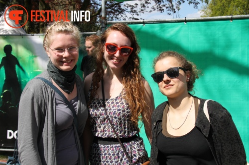 Sfeerfoto Bevrijdingsfestival Nijmegen 2013
