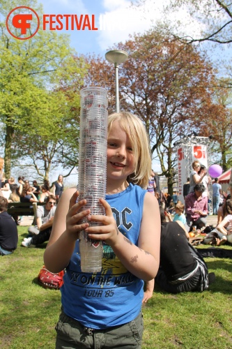 Sfeerfoto Bevrijdingsfestival Nijmegen 2013