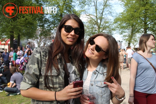 Sfeerfoto Bevrijdingsfestival Nijmegen 2013