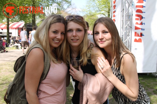 Sfeerfoto Bevrijdingsfestival Nijmegen 2013