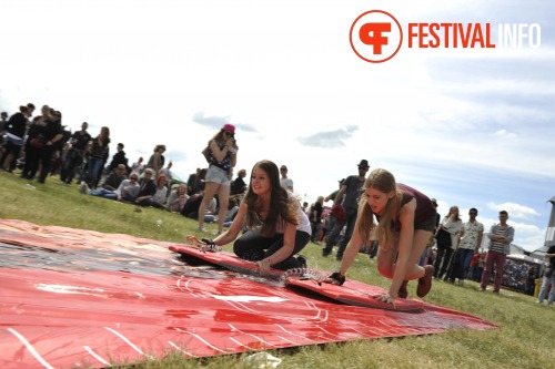 Sfeerfoto Pinkpop 2013 - dag 2