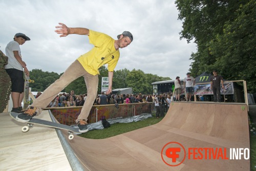 Sfeerfoto Werfpop 2013