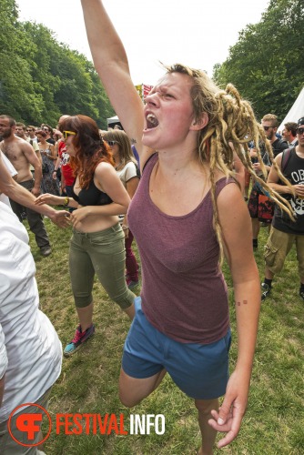 Sfeerfoto Werfpop 2013