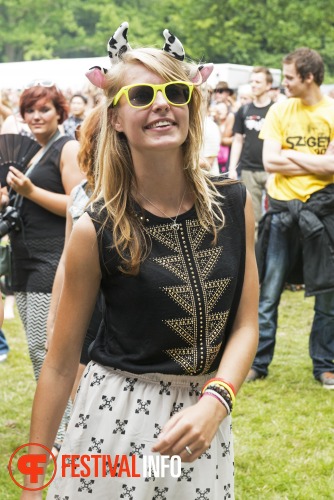 Sfeerfoto Werfpop 2013