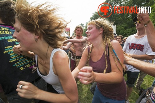 Sfeerfoto Werfpop 2013