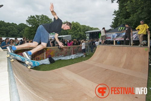 Sfeerfoto Werfpop 2013