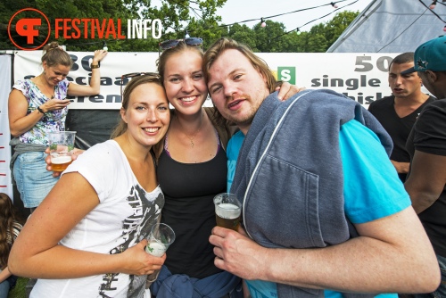 Sfeerfoto Werfpop 2013