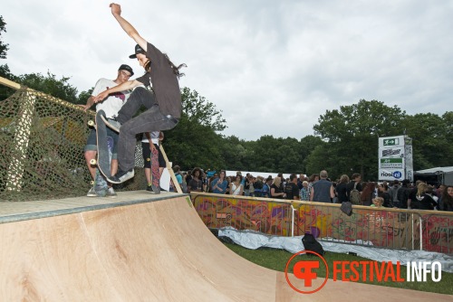 Sfeerfoto Werfpop 2013