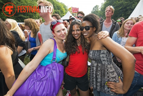 Sfeerfoto Werfpop 2013