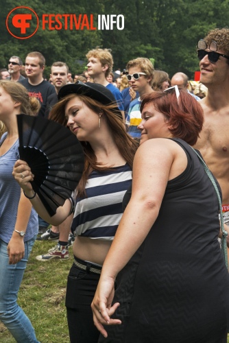 Sfeerfoto Werfpop 2013