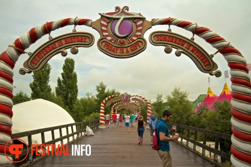Sfeerfoto Tomorrowland 2013