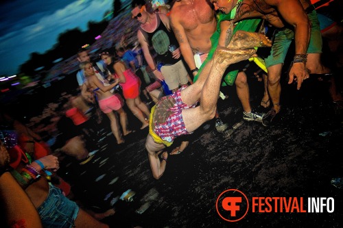 Sfeerfoto Tomorrowland 2013