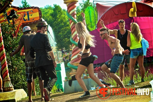 Sfeerfoto Tomorrowland 2013