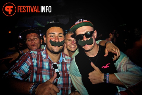 Sfeerfoto Tomorrowland 2013