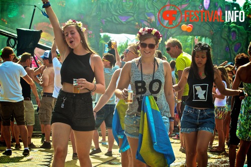 Sfeerfoto Tomorrowland 2013
