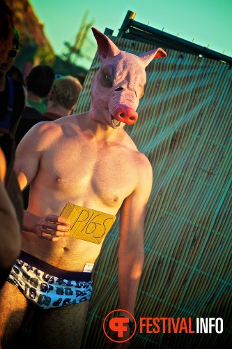 Sfeerfoto Tomorrowland 2013