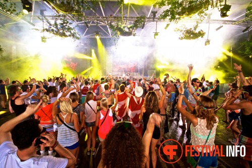 Sfeerfoto Tomorrowland 2013