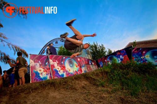 Sfeerfoto Tomorrowland 2013