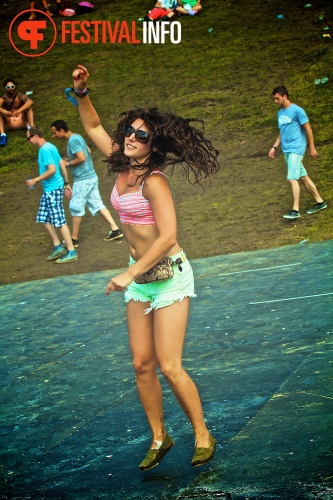 Sfeerfoto Tomorrowland 2013