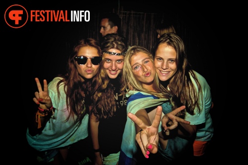 Sfeerfoto Tomorrowland 2013