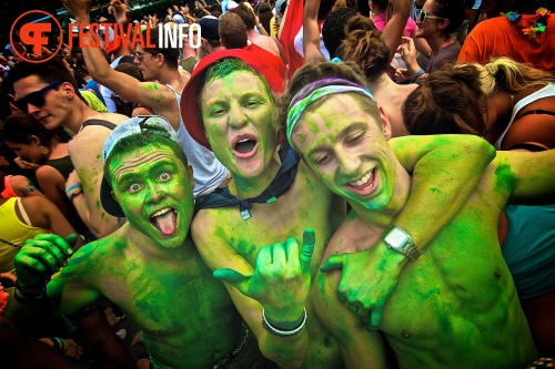 Sfeerfoto Tomorrowland 2013