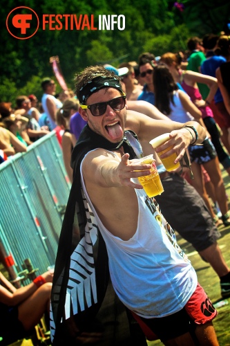 Sfeerfoto Tomorrowland 2013