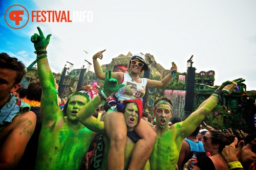 Sfeerfoto Tomorrowland 2013