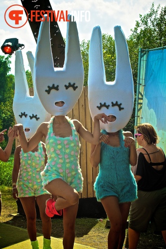 Sfeerfoto Tomorrowland 2013