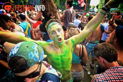 Sfeerfoto Tomorrowland 2013
