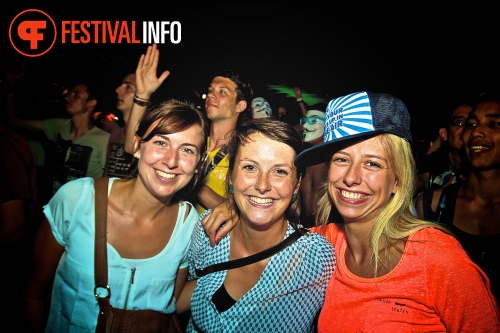 Sfeerfoto Tomorrowland 2013
