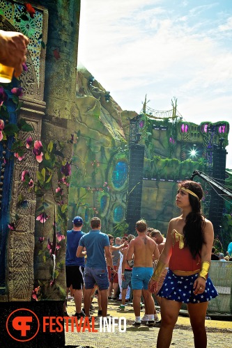 Sfeerfoto Tomorrowland 2013
