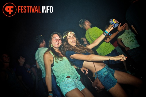 Sfeerfoto Tomorrowland 2013