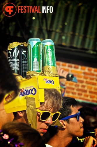 Sfeerfoto Tomorrowland 2013