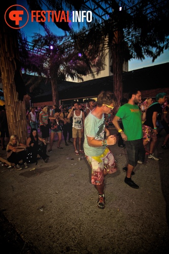 Sfeerfoto Tomorrowland 2013