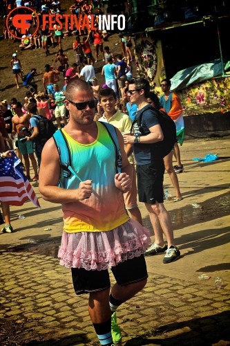 Sfeerfoto Tomorrowland 2013