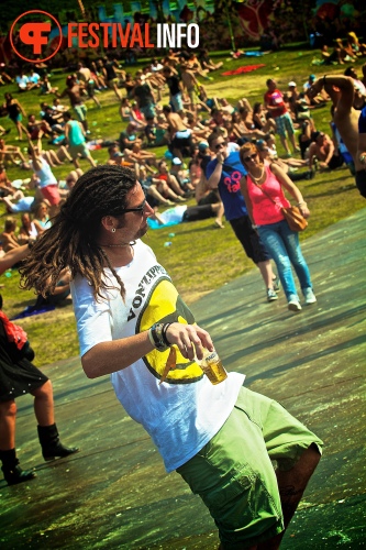 Sfeerfoto Tomorrowland 2013