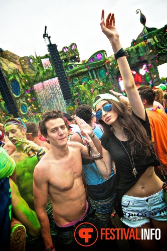 Sfeerfoto Tomorrowland 2013