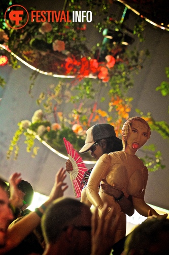 Sfeerfoto Tomorrowland 2013